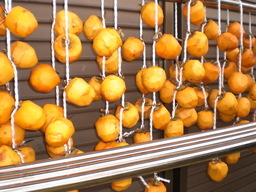 �Ԃǐ^�񒆂̗��ւ�