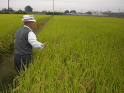 �Ԃǐ^�񒆂̗��ւ�