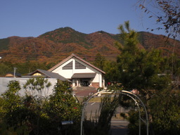 �Ԃǐ^�񒆂̗��ւ�