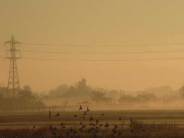 �Ԃǐ^�񒆂̗��ւ�