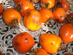 �Ԃǐ^�񒆂̗��ւ�