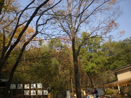 �Ԃǐ^�񒆂̗��ւ�