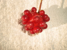 �Ԃǐ^�񒆂̗��ւ�