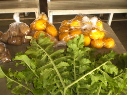 �Ԃǐ^�񒆂̗��ւ�