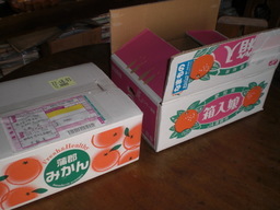 �Ԃǐ^�񒆂̗��ւ�