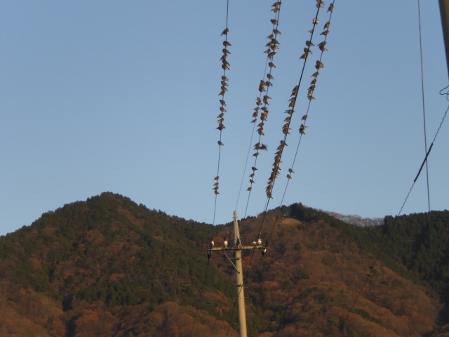 �Ԃǐ^�񒆂̗��ւ�