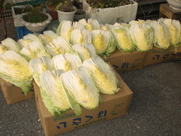 �Ԃǐ^�񒆂̗��ւ�