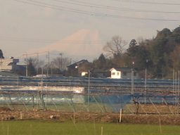 �Ԃǐ^�񒆂̗��ւ�