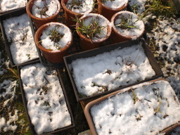 �Ԃǐ^�񒆂̗��ւ�