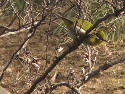 �Ԃǐ^�񒆂̗��ւ�