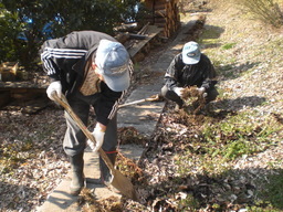 �Ԃǐ^�񒆂̗��ւ�