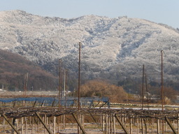 �Ԃǐ^�񒆂̗��ւ�