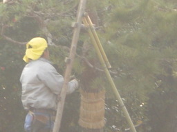 �Ԃǐ^�񒆂̗��ւ�