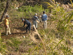 �Ԃǐ^�񒆂̗��ւ�