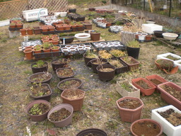 �Ԃǐ^�񒆂̗��ւ�