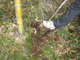 �Ԃǐ^�񒆂̗��ւ�