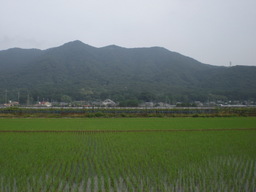 �Ԃǐ^�񒆂̗��ւ�