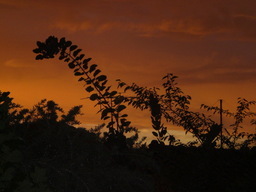 �Ԃǐ^�񒆂̗��ւ�