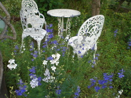 �Ԃǐ^�񒆂̗��ւ�