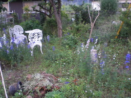 �Ԃǐ^�񒆂̗��ւ�