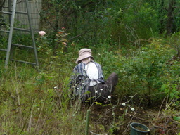 �Ԃǐ^�񒆂̗��ւ�