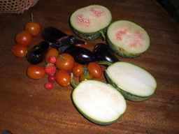 �Ԃǐ^�񒆂̗��ւ�