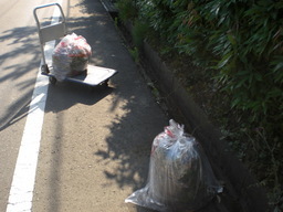 �Ԃǐ^�񒆂̗��ւ�