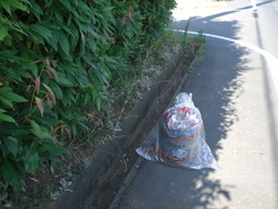 �Ԃǐ^�񒆂̗��ւ�