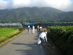 �Ԃǐ^�񒆂̗��ւ�