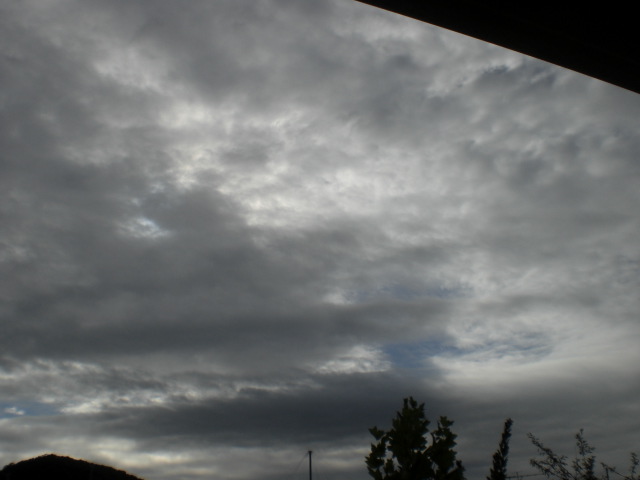 �Ԃǐ^�񒆂̗��ւ�