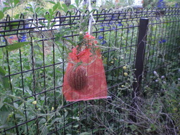 �Ԃǐ^�񒆂̗��ւ�