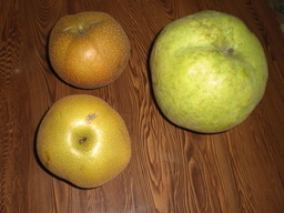 �Ԃǐ^�񒆂̗��ւ�