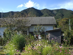 �Ԃǐ^�񒆂̗��ւ�