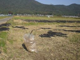 �Ԃǐ^�񒆂̗��ւ�