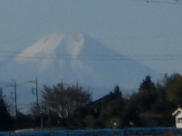 �Ԃǐ^�񒆂̗��ւ�