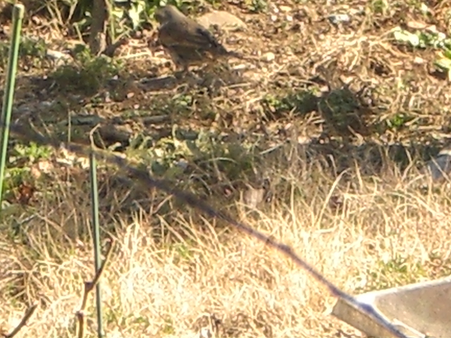 �Ԃǐ^�񒆂̗��ւ�