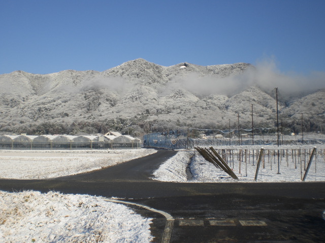 �Ԃǐ^�񒆂̗��ւ�