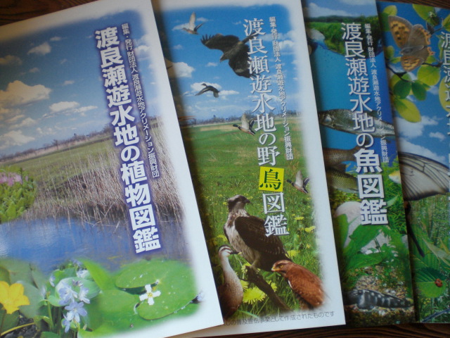 �Ԃǐ^�񒆂̗��ւ�