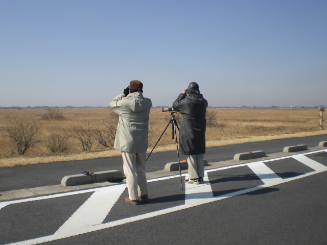 �Ԃǐ^�񒆂̗��ւ�