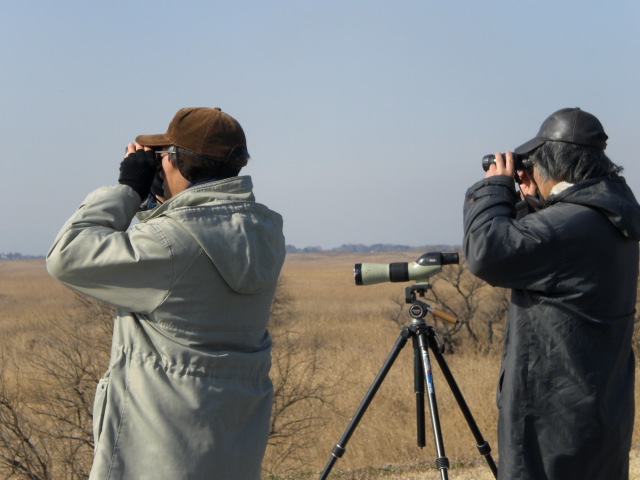 �Ԃǐ^�񒆂̗��ւ�