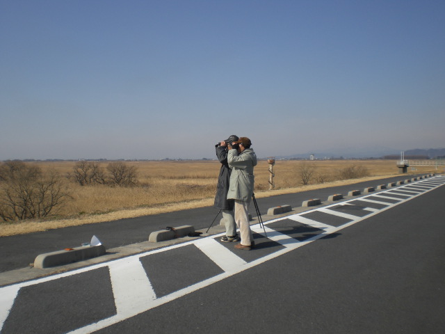 �Ԃǐ^�񒆂̗��ւ�