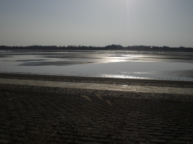 �Ԃǐ^�񒆂̗��ւ�