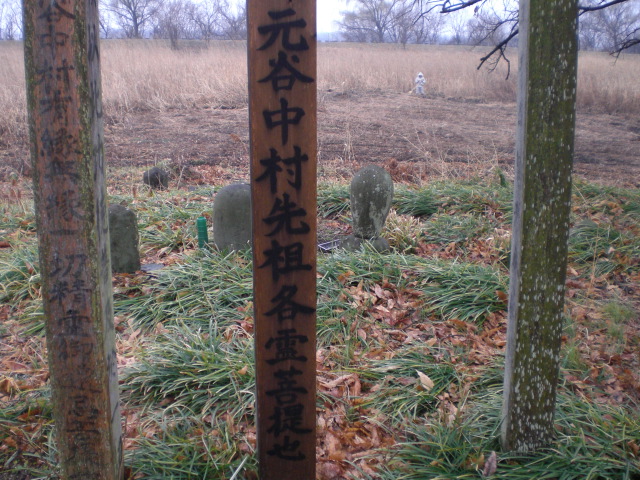 �Ԃǐ^�񒆂̗��ւ�