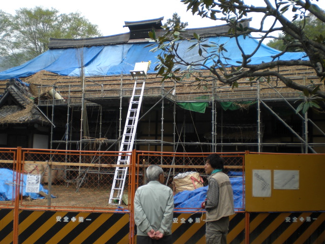 �Ԃǐ^�񒆂̗��ւ�