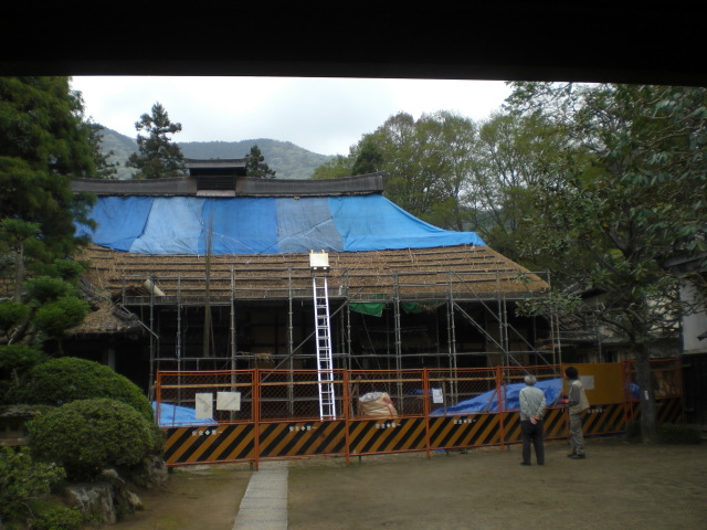 �Ԃǐ^�񒆂̗��ւ�