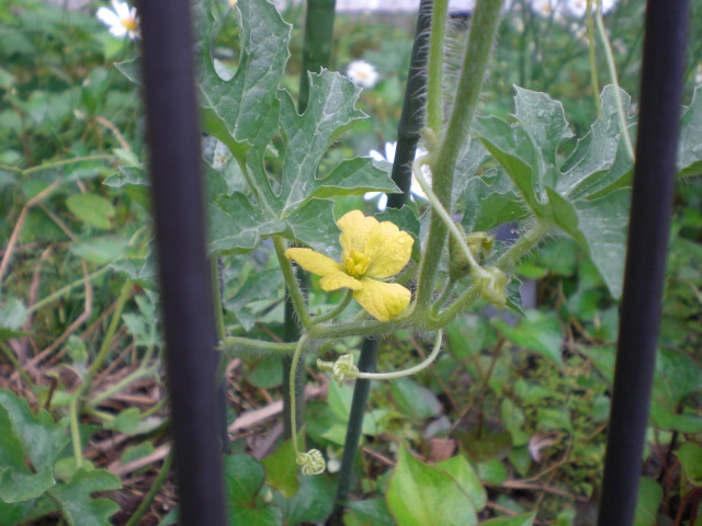 �Ԃǐ^�񒆂̗��ւ�