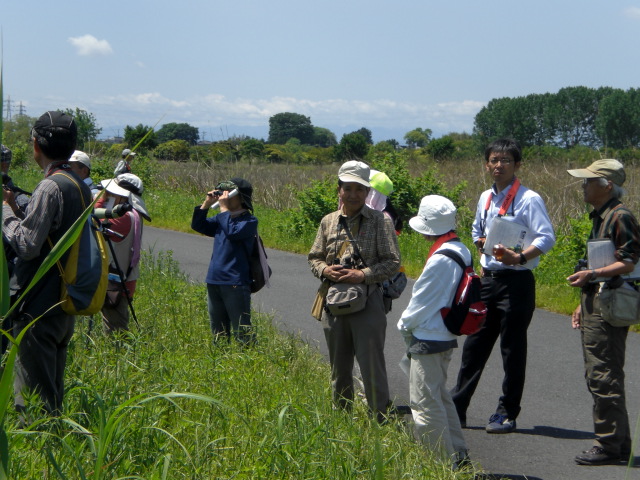 �Ԃǐ^�񒆂̗��ւ�