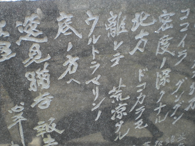 �Ԃǐ^�񒆂̗��ւ�