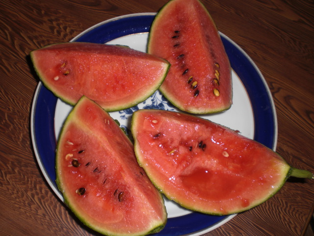 �Ԃǐ^�񒆂̗��ւ�