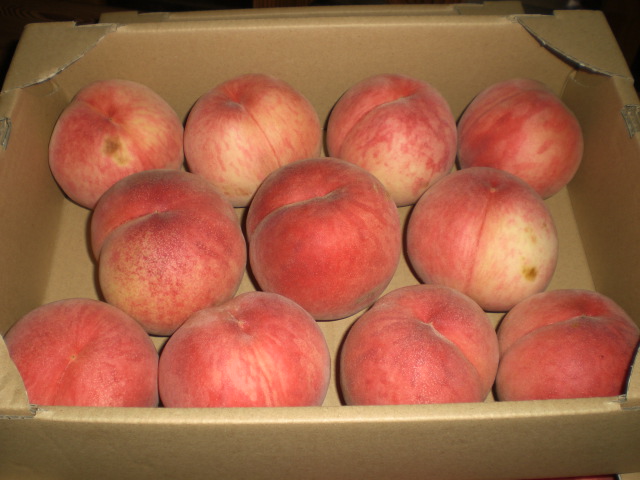 �Ԃǐ^�񒆂̗��ւ�